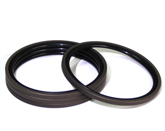 Piston seals.