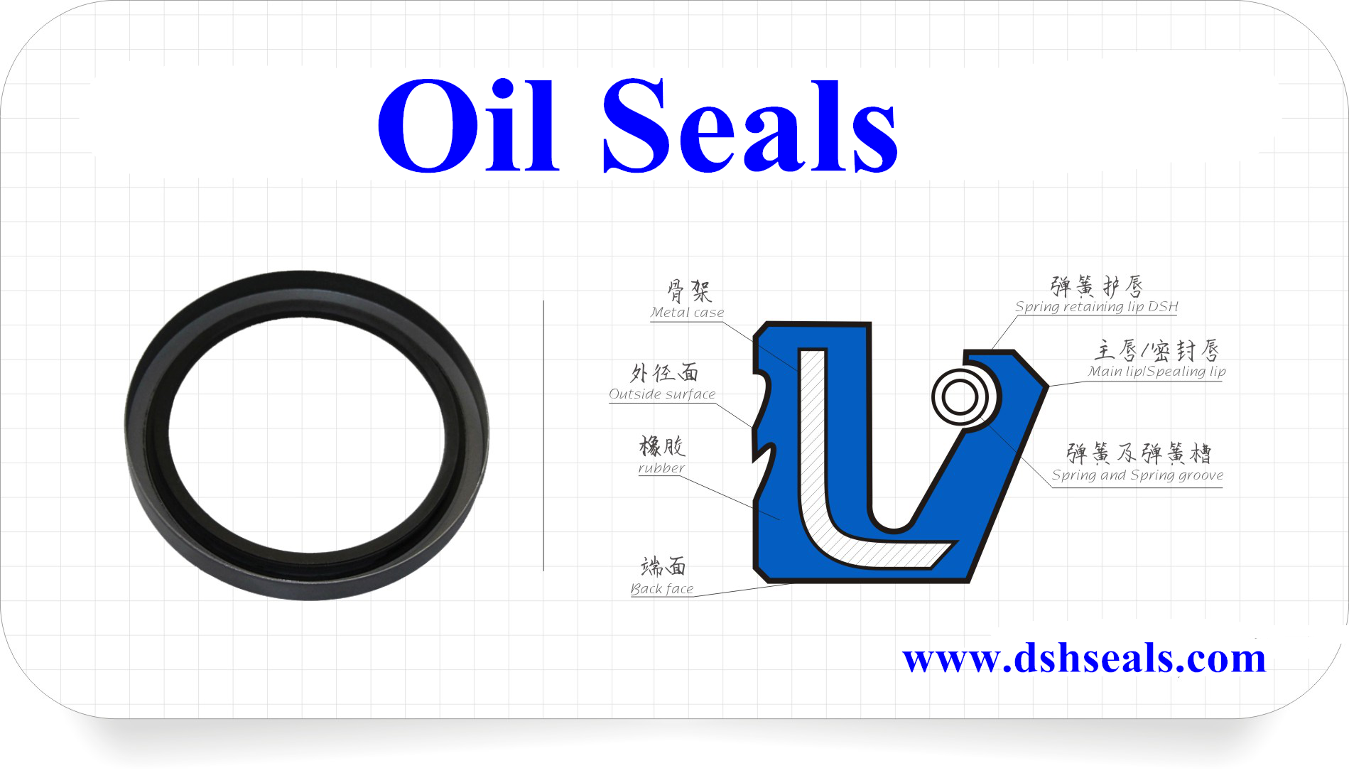 Oil Seal Oil Seal