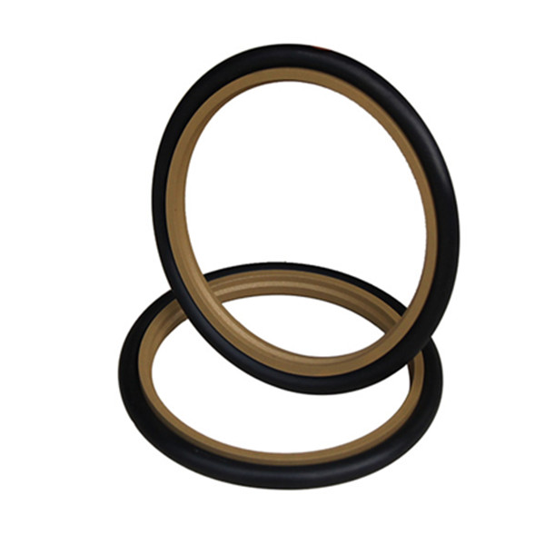 Hydraulic step seals