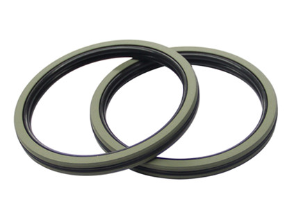 Piston seals Piston seals