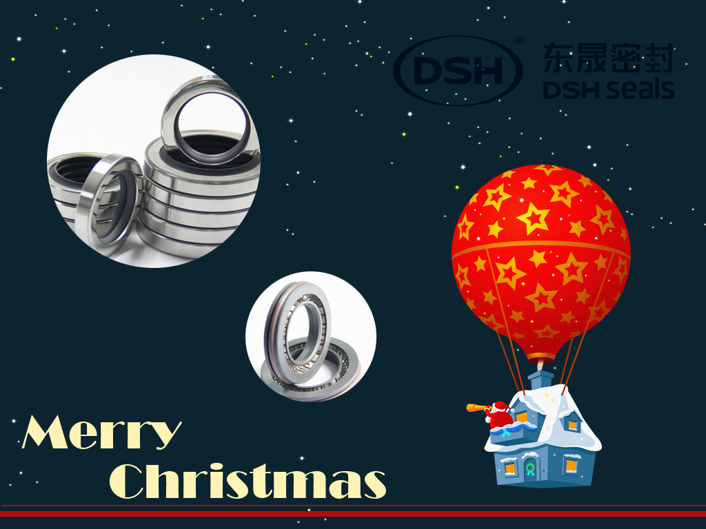DSH Seals