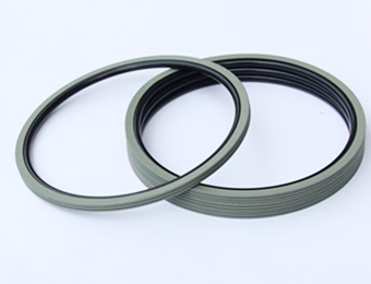 rotary shaft seals